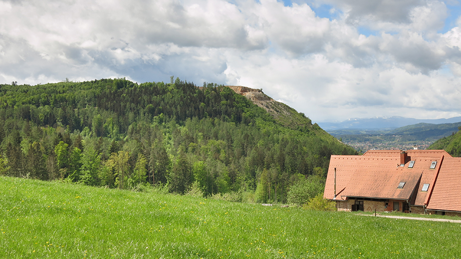 Vom Bogenhof (460 m) in Richtung Kanzelkogel (615 m). Foto: ©Auferbauer