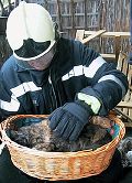Einsatz nicht für die Katz' 