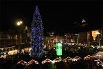 Der Grazer Weihnachtsbaum - ein Geschenk der Grazer Umlandgemeinden - erleuchtet heuer in strahlendem Blau. Die Almfichte ist 30 Meter hoch und kommt aus dem Forstamt Prinz Liechtenstein - Waldstein.  