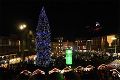 Ganz in Blau leuchtet der städtische Christbaum 