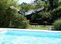 So entsorgen Sie Poolwasser richtig