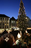 Weihnachtsbaum und Eiskrippe erstrahlen