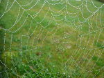  www.pixelio.de/riessado