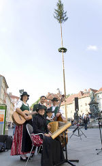 ... Maibaum so richtig eingewickelt! 