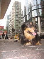MAX in Hongkong,  Foto:© Rainer & Max 