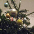 Christbaumsammelstellen 2009/2010