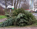 Foto: flickr Foto: flickr