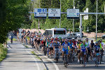 Foto Gerhard Summer 