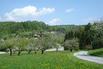 Das Stiftingtal (Foto: Wolfgang Renner) 