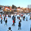 Eislaufen auf dem Mariatroster Teich