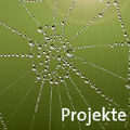 Umwelt-Preis 2012: Gute Ideen für Abfallvermeidung gesucht