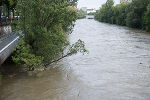 Die Mur führt noch immer Hochwasser ... 