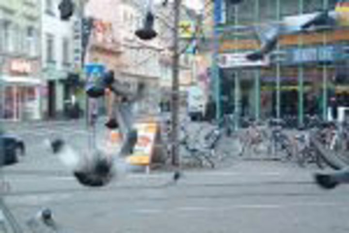 Beispielbild: fliegende Tauben