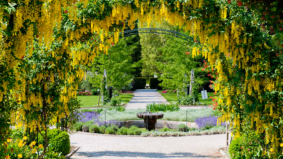 Ein Besuch im malerischen Garten des Schloss Eggenberg