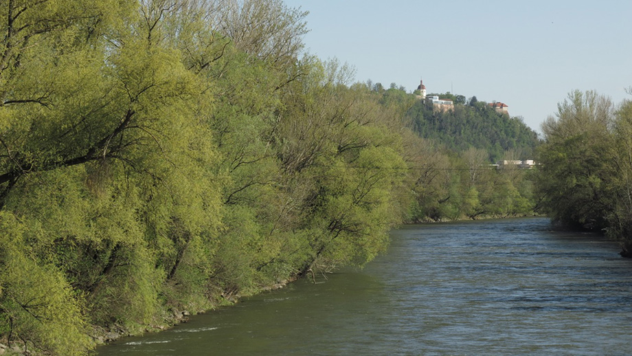 Vom Pongratz-Moore-Steg flussabwärts. Foto: ©Auferbauer