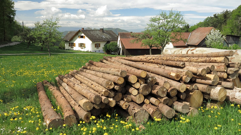 Gehöft Tüchler vlg.Plattenzenz, nahe am Zweiten Plattenkreuz. Foto: ©Auferbauer