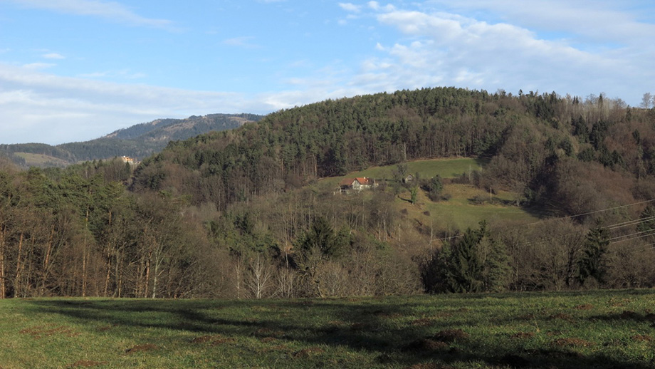 Vom Oberen Plattenweg Richtung Pfangberg. Foto: ©Auferbauer