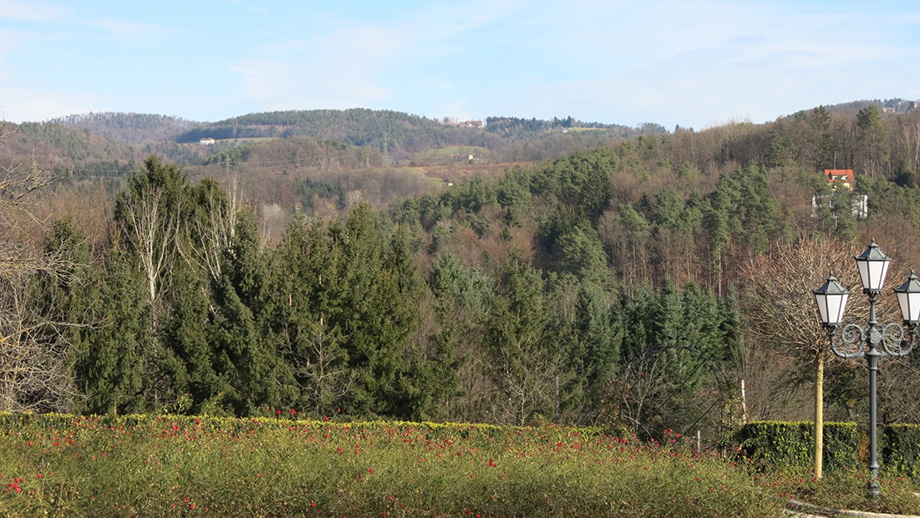 Aus der Saumgasse in Richtung Pfangberg (640 m). Foto: ©Auferbauer