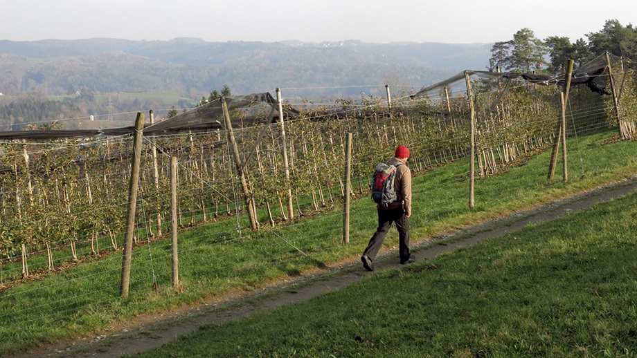 Vom Pfangberg in Richtung Zweites Plattenkreuz. Foto: ©Auferbauer