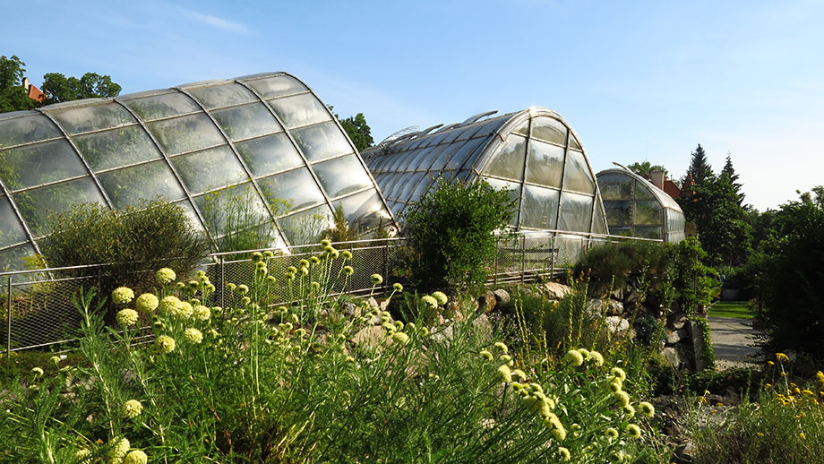 Botanischer Garten. Foto: ©Auferbauer