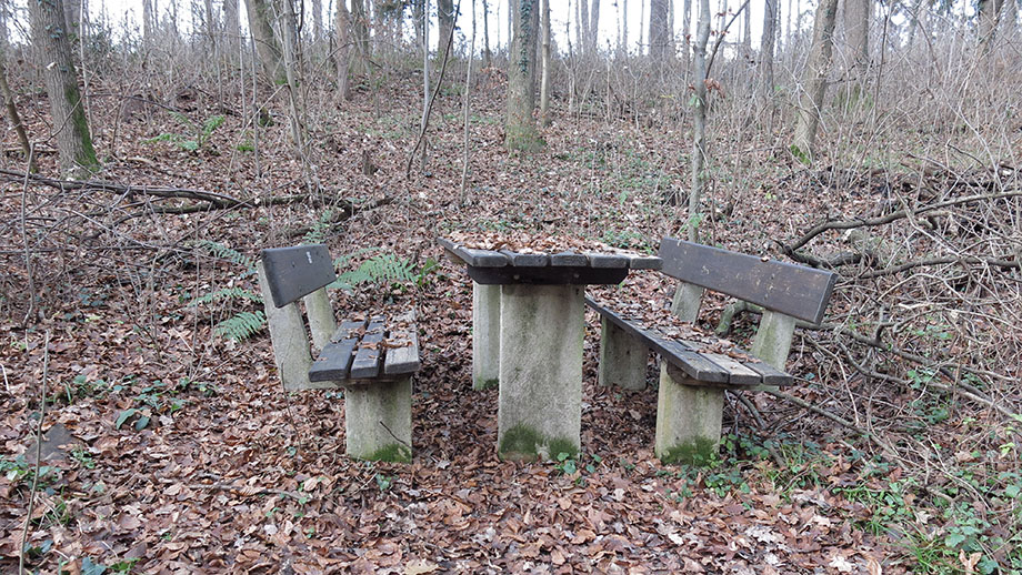 Leechwald, nach Gatterzaun, Rastplatz am Waldweg Richtung Stiftingtal. Foto: ©Auferbauer