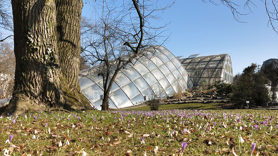 Botanischer Garten. Foto: ©Auferbauer