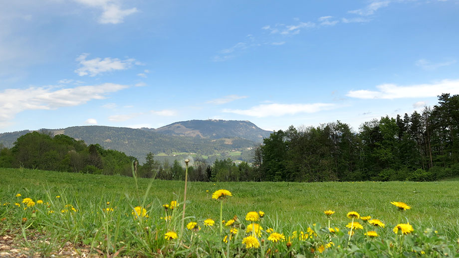 Aus dem Linecksattel (623 m) in Richtung Schöckl (1445 m). Foto: ©Auferbauer