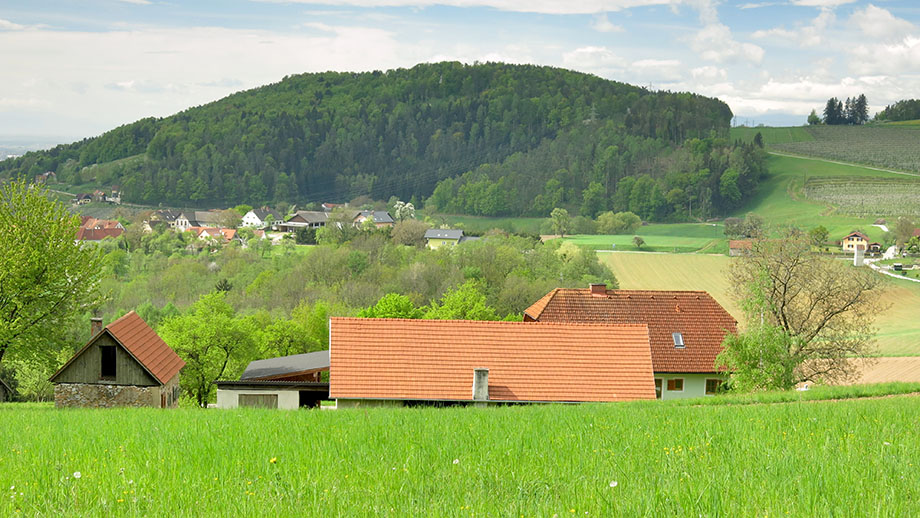 Vom Hauersteig über Wenisbuch Richtung Platte (651 m). Foto: ©Auferbauer