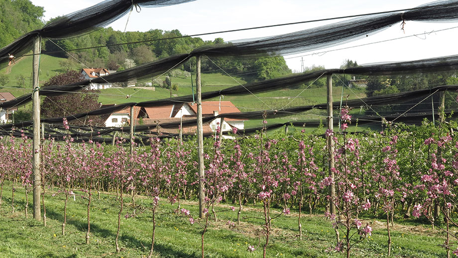 Gehöft Fauster, an der Föllinger Straße. Foto: ©Auferbauer