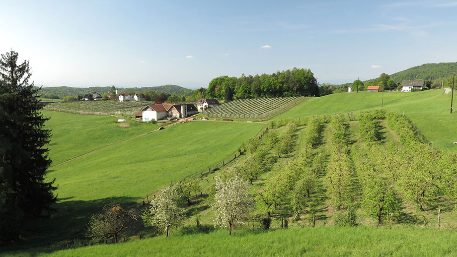 Vom Sternwirt in Richtung Gehöft Fauster. Foto: ©Auferbauer