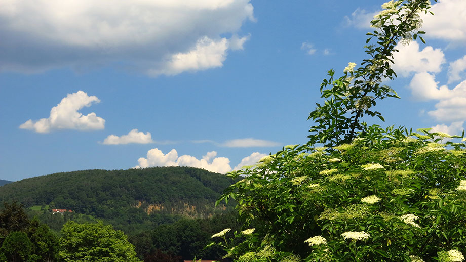 Von Mariatrost Richtung Hauenstein (650 m). Foto: ©Auferbauer