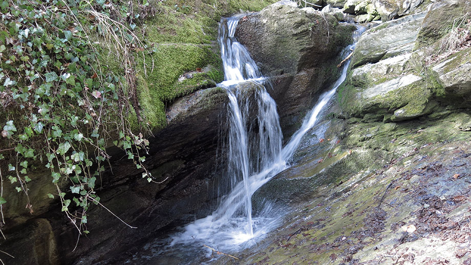  In der Rettenbachklamm. Foto: ©Auferbauer