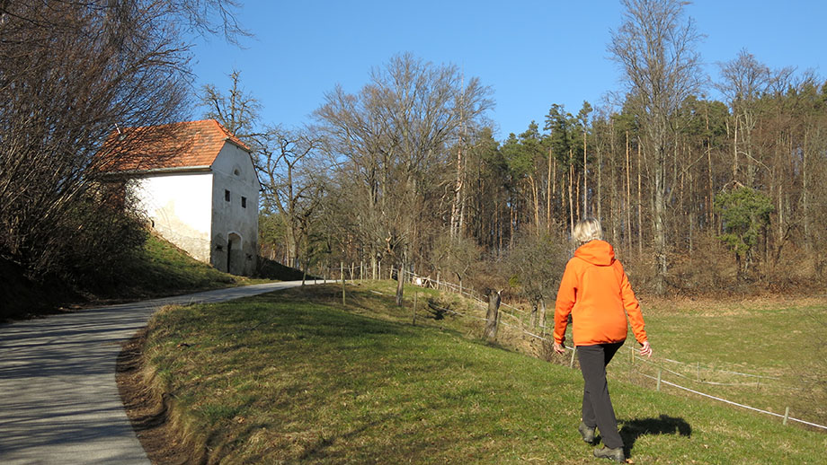 Am Hauersteig in Richtung Gehöft Walzl vlg. Annahansl. Foto: ©Auferbauer