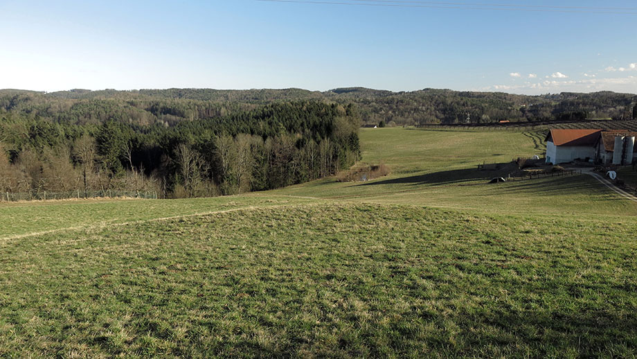 An der Föllinger Straße, nahe Obstbau Fauster. Foto: ©Auferbauer