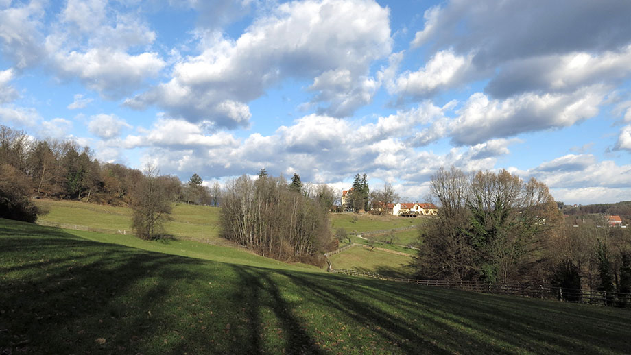 Spaziergelände nahe am Schloss Lustbühel. Foto: ©Auferbauer