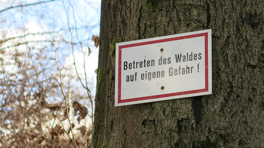 Neue-Welt-Höhe, Betreten des Waldes auf eigene Gefahr - wie sonst? Foto: ©Auferbauer