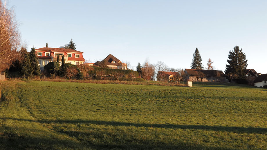 Petersbergenstraße 83, Hangrichtung Petri Au. Foto: ©Auferbauer