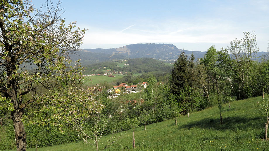 Am Höhenweg, Richtung Schöckl. Foto: ©Auferbauer