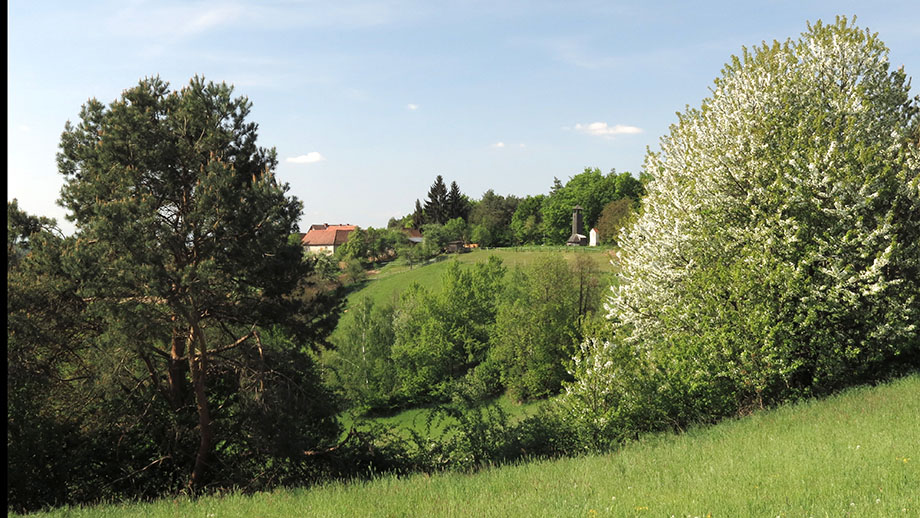 An der Schaftalbergstraße, Richtung Wetterturm. Foto: ©Auferbauer.