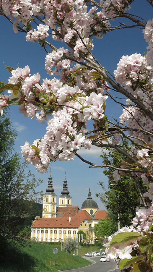 Basilika Mariatrost. Foto: ©Auferbauer