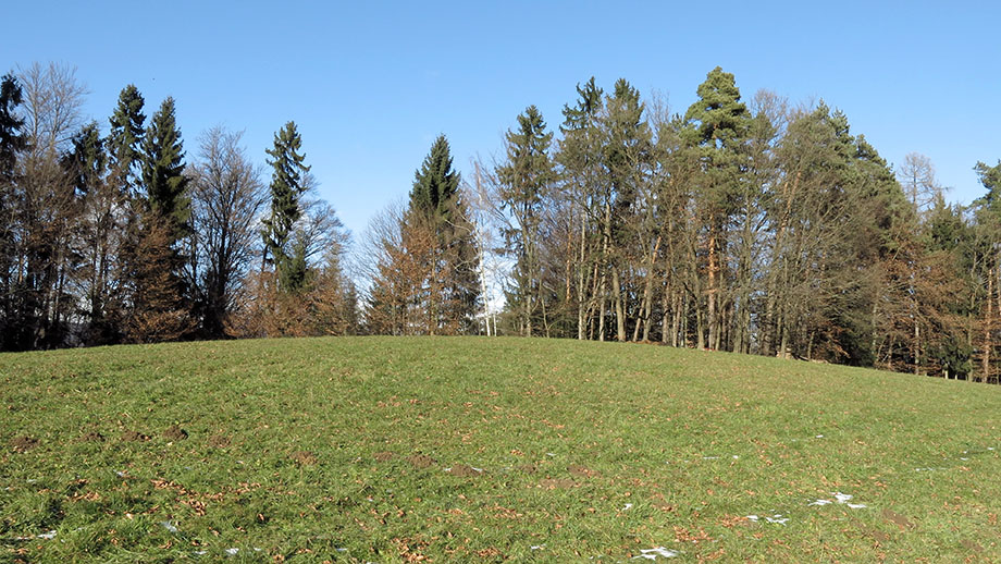 Am Roseggerweg, Richtung Schaftalberg. Foto: ©Auferbauer