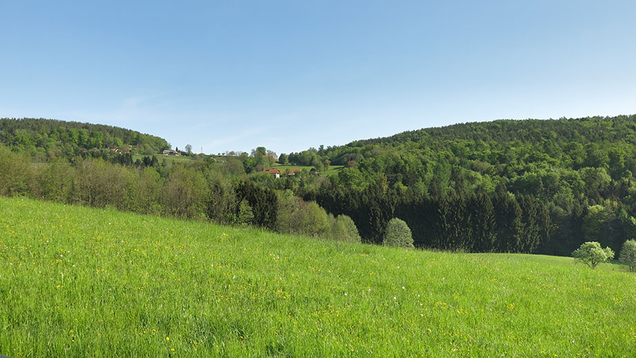 Wenisbuch, vom Zweiten Plattenkreuz Richtung Linecksattel (623 m). Foto: ©Auferbauer