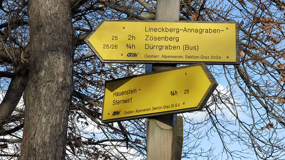 Am Linecksattel, Weggabel Lineckerweg/Lineckberg. Foto: ©Auferbauer