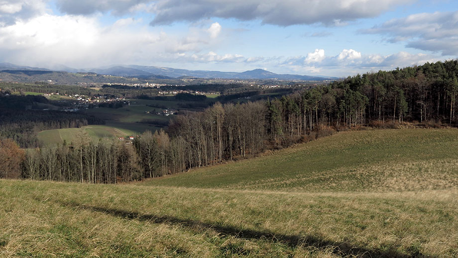 Am Linecksattel, Richtung Weizer Kulm. Foto: ©Auferbauer