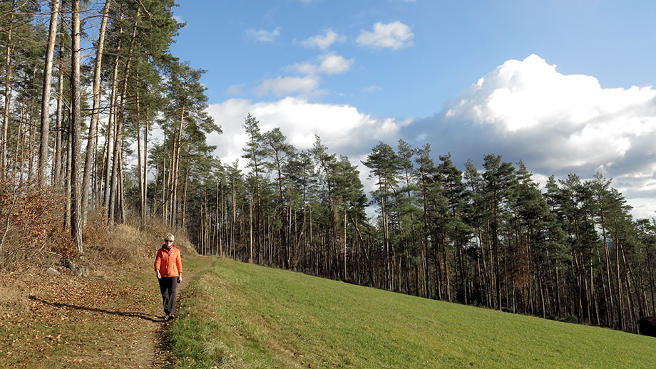 Zur Winter-Sonnenwende am Lineckberg. Foto: ©Auferbauer