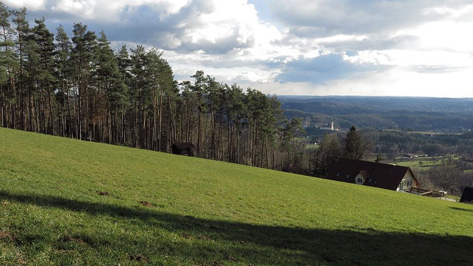 Vom Lineckberg Richtung Mariatrost. Foto: ©Auferbauer