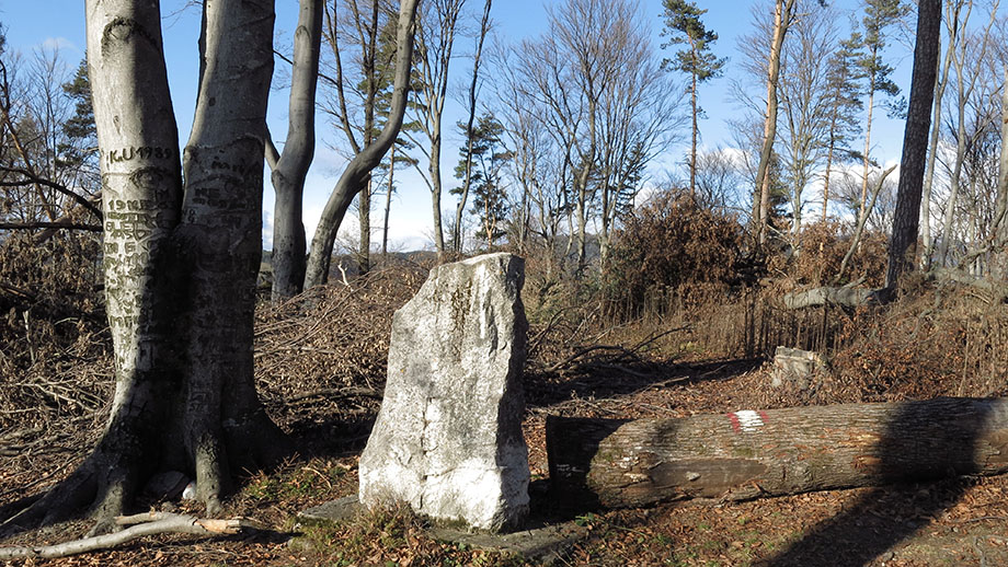 Gedenkstein am Lineckberg (700 m). Foto: ©Auferbauer