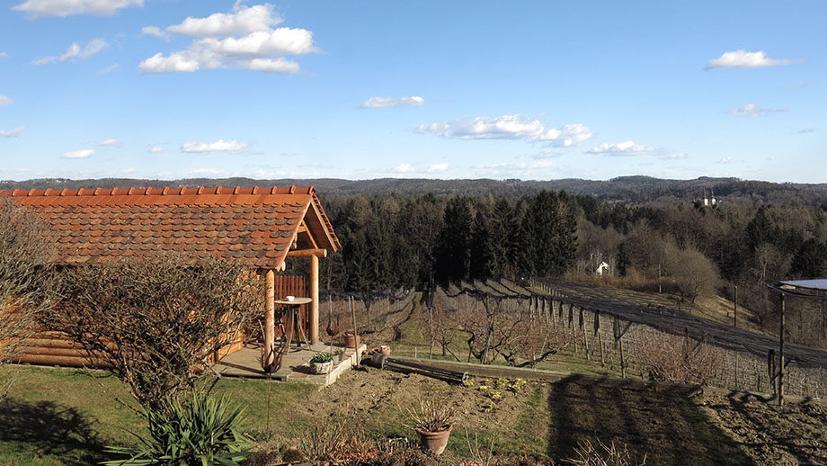 Märzenwetter am Obstbau Pölzer (530 m), vom Janischhofweg in Richtung Mariatrost. Foto: ©Auferbauer