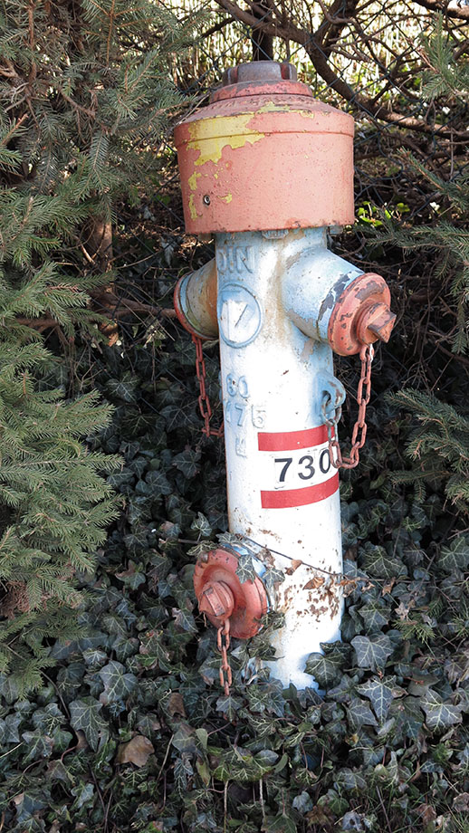 Stattegg, Andritz-Ursprung: am Weinbergweg der Hydrant mit Farbmarke und der Wegnummer 730. Foto: ©Auferbauer