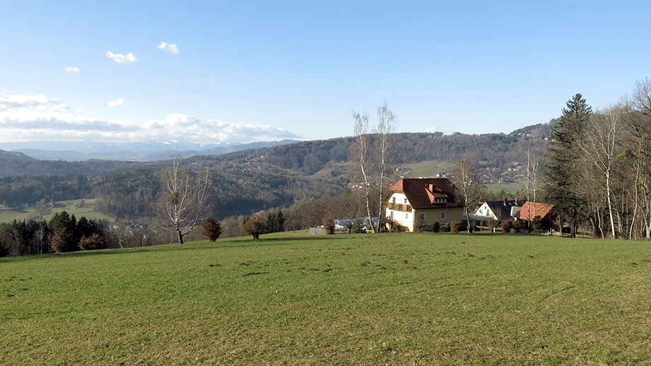 Milder Hochwintertag: Entlang des Kapellenweges Richtung Höchwirt spazieren. Foto: ©Auferbauer